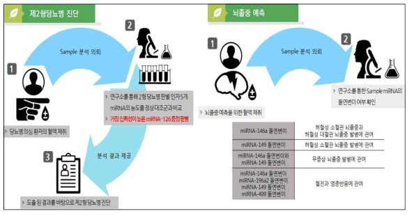 혈중 miRNA 바이오마커를 이용한 질병의 진단과 예방 유형