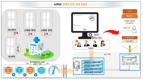 miRNA 질병의 진단 과정 흐름도