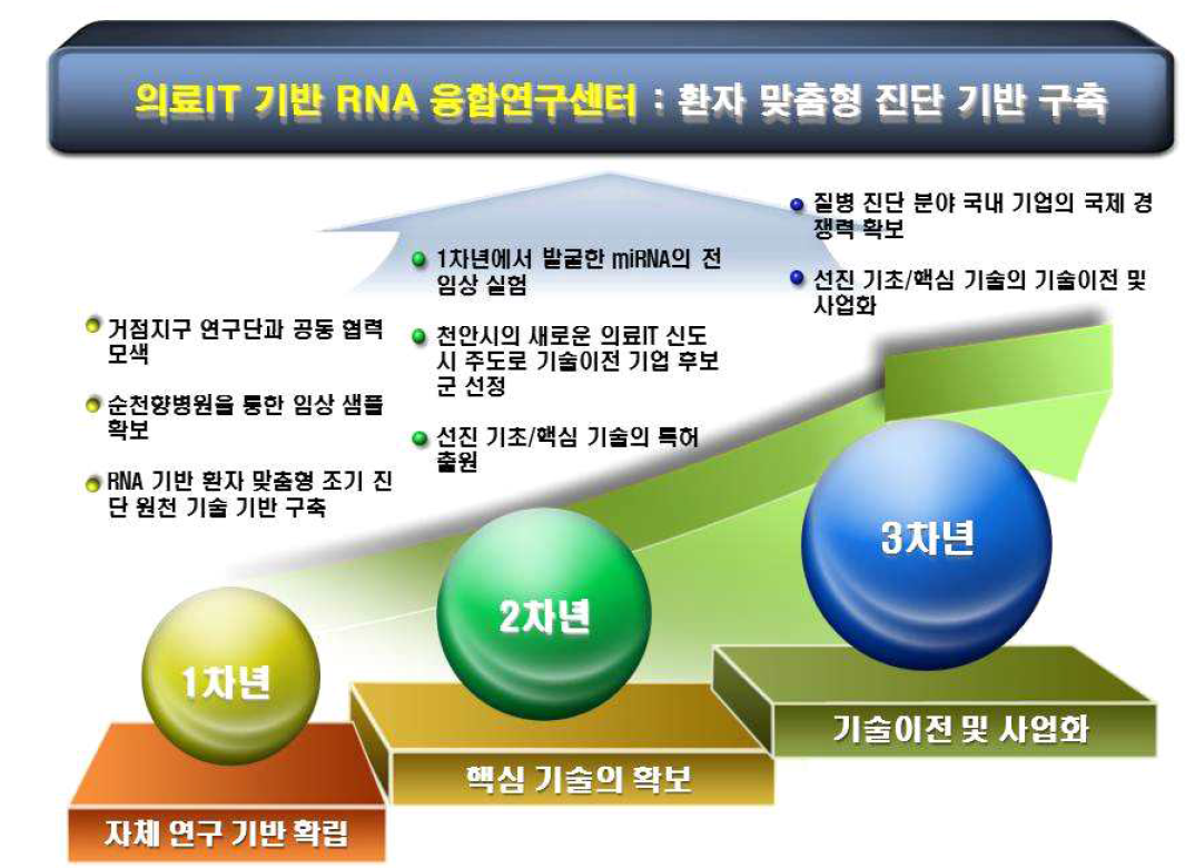 세부연구 목표 및 내용에 대한 연차별 모식도