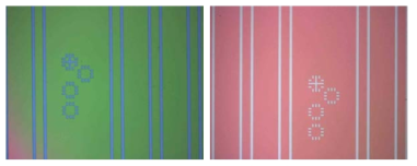 Photolithography 공정(Stripe 패턴 형성)