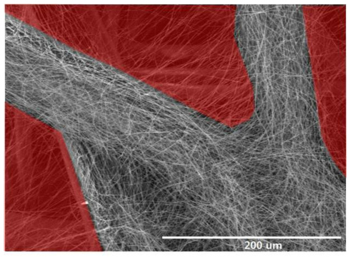 PET 원단에 밀집된 나노섬유의 주사 전자현미경(SEM) 사진