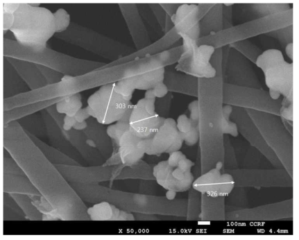 은나노 입자가 코팅된 나노 섬유 필터 주사 전자현미경(SEM)사진