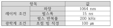 레이저 제염 공정을 위한 레이저와 광학계 사양