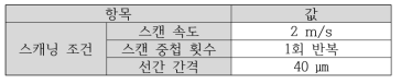 레이저 제염 공정을 위한 빔 스캐닝 조건