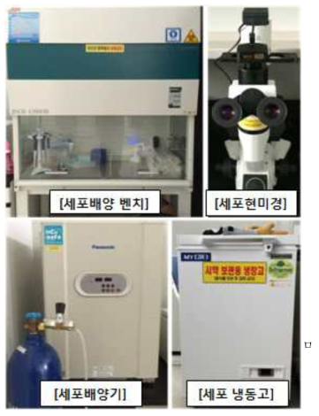 전이암세포 배양을 위한 세포배양 시스템