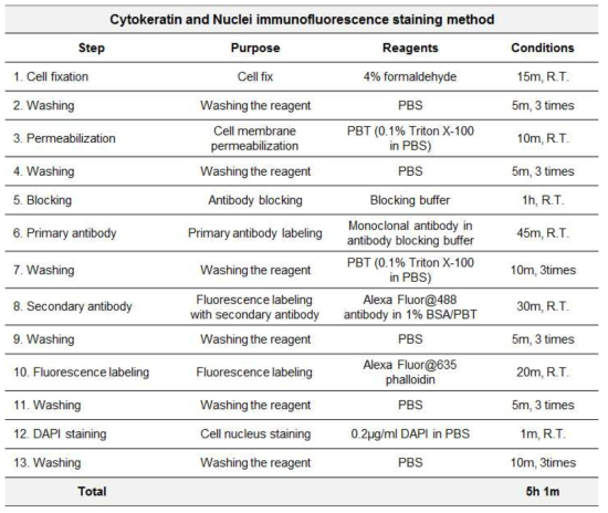 전이암세포 및 세포핵 염색을 위한 염색법