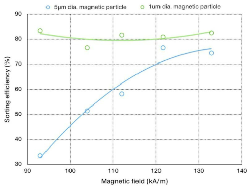 자기장의 세기에 따른 자성입자의 분리 효율 결과