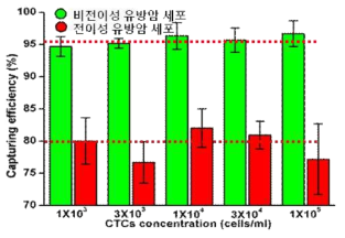 초기 주입 세포 농도에 따른 비전이성/전이성 유방암세포의 분리효율