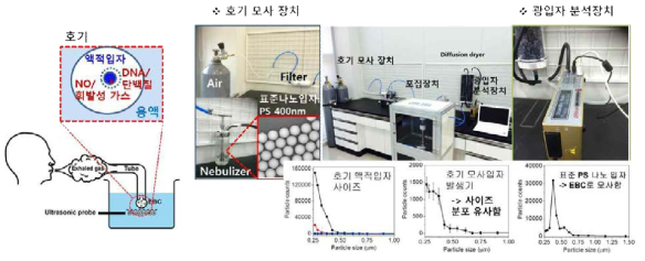 호기 내 다양한 바이오마커, 호기 액적 입자 모니터링 실험 인프라 구축 및 검증