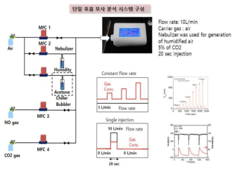 단일 호기 모사 성능 평가 장치 및 방법