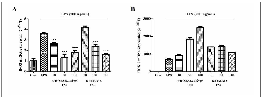 RAW 264.7 대식세포에서 LPS로 유도된 iNOS 및 COX-2 단백질 발현에 대한 KIOM-MA 128 및 KIOM-MA+황금-128 제제의 억제 효과