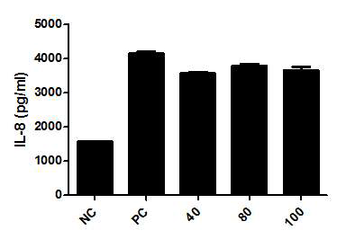 각질형성세포(keratinocyte) IL-8 분비에 미치는 KIOM-MA128H의 영향