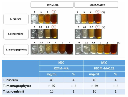 KIOM-MA128 추출물의 진균 3종에 대한 억제 활성 결과