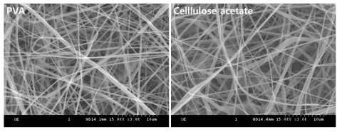 친수성 고분자를 함유하는 PVDF 나노섬유 전자현미경 사진