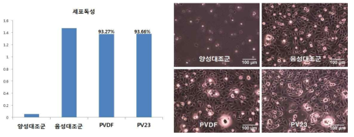 친수성 고분자 함유 PVDF 나노섬유의 세포독성 시험 결과