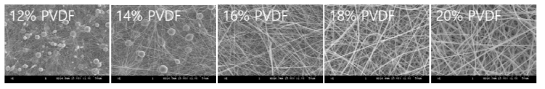 PVDF 농도에 따른 섬유 형상 변화의 SEM 사진