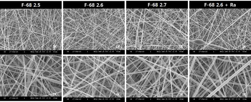 친수화된 PVDF 나노섬유의 표면 형상 전자현미경 사진