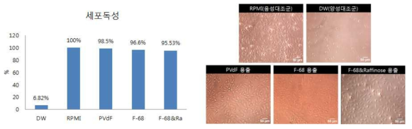 F-68 및 라피노즈 함유 PVDF 나노섬유의 세포독성 시험 결과