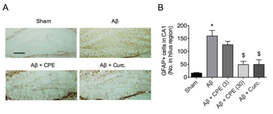 The effectof CPE on Aβ-induced microglial activation. Hippocampal slices were preparedimmediately after the Y-maze task. A. Microphotographs of Iba-1-immunopositivecells. B. Quantitative analysis of the number of Iba-1-immunopositive cells inthe hillus region. Data represents mean ± SEM. *P <0.05 vs. control group. $P <0.05 vs. Aβ + vehicle group. Curc., curcumin
