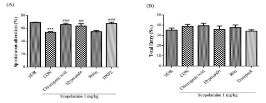 The effect of component on memory and cognitive impairments induced in mice as measured by the Y-maze test. Chlorogenic acid, hyperoside, rutin, dboyn espceozpilo loarm tinhee Msaemmeo rvyo liummpea iromf envte hwicales i(nsdaulicneed) bwya ss coapdomlainmisinteer e(d1 tmo g/mkigc,e i.1p. )h 3b0e fmorine btehfeo rYe -tmhea zeY -tmesatzse. t8e-smtsi.n Stpeosntt asneesosuiso n alwteerrnea tiroenc obrdeehdav. ioDra t(a% a)r e( Ap)r easnedn tendu mabse rms eoanf ±a rmSE Men tr(ine=s 7( Bp)e r dugrrionugp )a. ***significant difference from the NOR group (p<0.001); ###significant difference from the CON group (p<0.001)