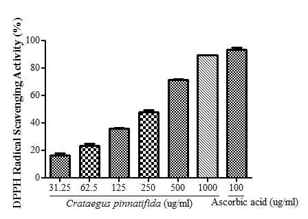 DPPH free radical-scavenging activity of Crataegus pinnatifida