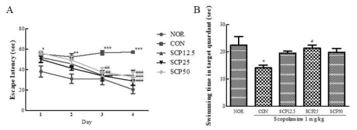 Effects of SCP on the long-term, spatial reference memory of scopolamine-treated mice in Morris water maze test. (A) Escape latency in acquisition phase; (B) Swimming time in target quadrant in probe trial. Mice were administered SCP (12.5, 25 or 50 mg/kg) orally and intraperitoneally injected with scopolamine (1 mg/kg) after 30 min. Data are expressed as mean±S.E.M, n = 10 in each group. ** p < 0.01, *** p < 0.001 compared with NOR group, #p < 0.05, ### p < 0.001 compared with the CON group