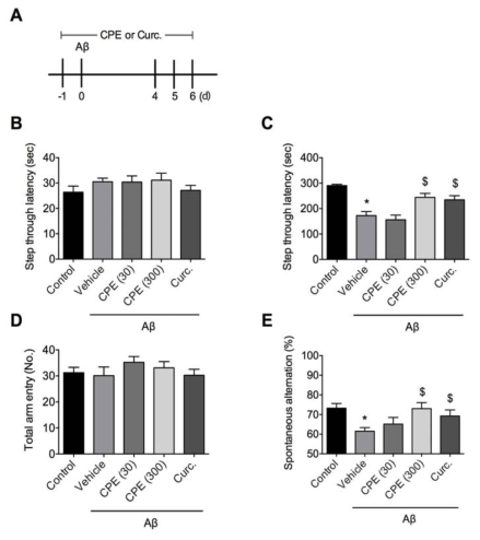 The effect of CPE on Aβ-inducedmemory deficits. A. CPE (30 or 300 mg/kg, p.o.) or curcumin (30mg/kg, p.o.)was administered from 1 day before to 6 days after the Aβ injection (i.c.v.).Passive avoidance and Y-maze tasks were conducted 4 and 6 days after Aβ injection, respectively. B. Step-through latencyin training trial of passive avoidance task. C. Step-through latency in testtrial of passive avoidance task. D. Total arm entry in Y-maze task. E.Spontaneous alternation in Y-maze task. Data represents mean ± SEM. *P <0.05 vs. control group. $P <0.05 vs. Aβ + vehicle group.Curc., curcumin