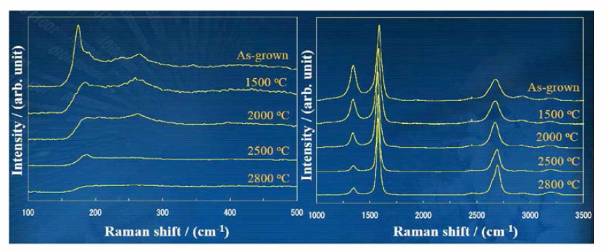 고온 열처리한 MWCNT의 Raman 스펙트럼