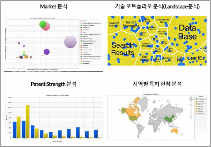 〈Patent Strategies〉의 특허정보 시각화 결과물의 예