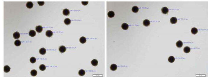 Micro-CHI의 CIS 전후 광학현미경 사진 (좌: 수행 전, 우: 수행 후)