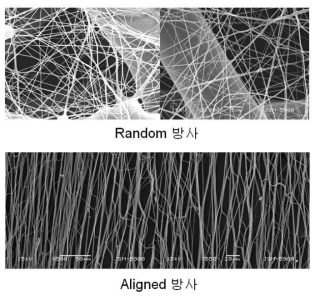 Random 방사 및 Aligned 방사 시험 및 SEM 촬영