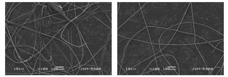 Polystyrene 을 이용한 전기방사 SEM 사진