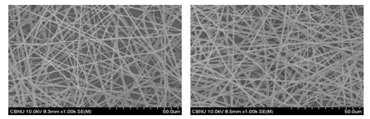 Polyurethane을 이용한 전기방사 SEM 사진