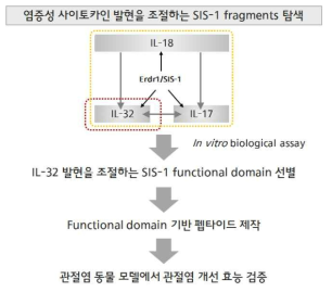 Functional domain 탐색 및 펩타이드 선별 과정
