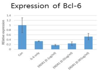 Erdr1 처리에의한 Bcl-6 유전자의 발현변화