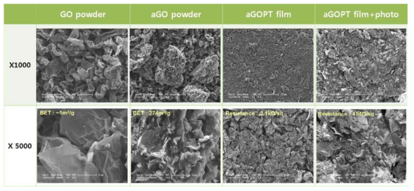Activated GO 파우더와 그 파우더를 이용한 필름 표면의 전자현미경 사진