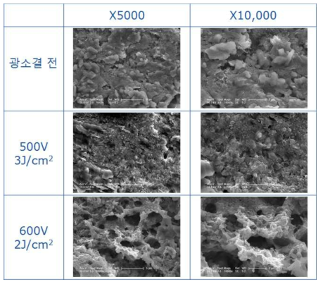 광소결 조건 별 KOH 함침 그래핀의 미세구조 특성 (5,000X, 10,000X)