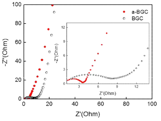 활성 바이오매스 기반 슈퍼커패시터 전극의 임피던스 측정결과