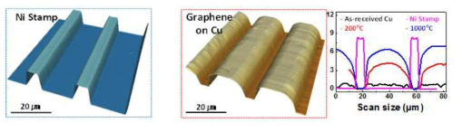 원자현미경을 이용한 Ni stamp와 촉매 금속에서의 패턴 형상 측정 결과(인용문헌: 2차년도 연차실적보고서)