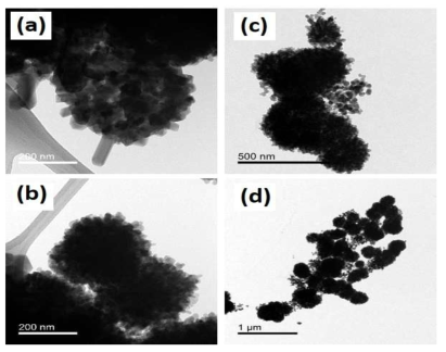 (a), (b) 초음파를 이용한 LiNi0.5Mn1.5O4 (U-LNMO)와 (c), (d) 교반을 이용한 LiNi0.5Mn1.5O4 (S-LNMO)의 TEM 분석 결과