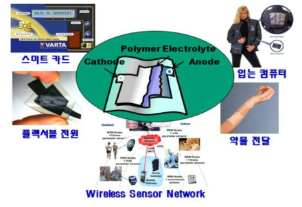 전고상 고분자 전해질의 전지 응용