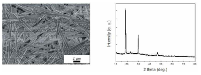 (a)SEM 사진, (b) XRD 패턴
