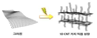 그래핀을 지지체로 한 1차원 탄소나노소재 직접 가지화 성장