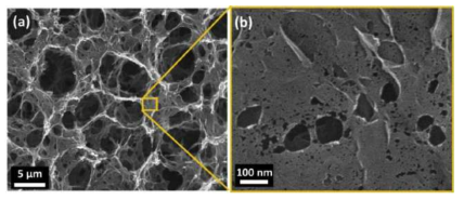(a,b) 증기 활성화를 이용한 다공성 그래핀의 SEM 이미지