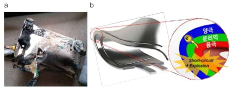 (a) 전지 폭발, (b) 전지 변형에 의한 내부단락