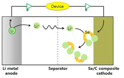 리튬-셀레늄 이차전지의 작동 원리. 리튬-이온은 전해질을 통해 이동하고, 전자는 도선을 통해 이동함으로써 방전 반응이 진행 됨. 양극 계면에서는 리튬-폴리셀레나이드가 지속적으로 Lithiation되면서 최종적으로는 Li2Se 상이 형성 됨