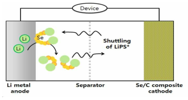 리튬-셀레늄 이차전지에서 발생하는 셔틀링 현상 리튬-셀레늄 이차전지에서 발생하는 셔틀링 현상. 반응 중간 생성물들이 음극으로 이동한 후 Self-discharge가 발생하면서, 외부 도선으로 전자가 이동하지 못함