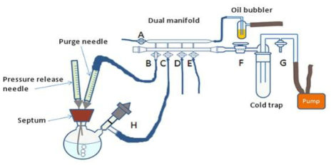 Dual manifold system 모식도