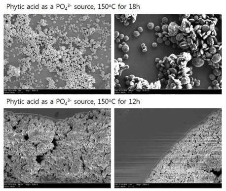 Phytic acid를 사용하여 합성한 입자에 대한 SEM 이미지