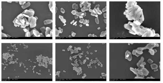 Ethylene glycol 용매에서 합성된 LFP의 SEM 사진 / KBSI-LFP-2